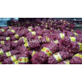 Fresh Good Qulality Red Onion